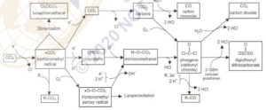 CARBON TETRACHLORIDE ACGIH   Carbon Tetrachloride Fig 1 300x124 